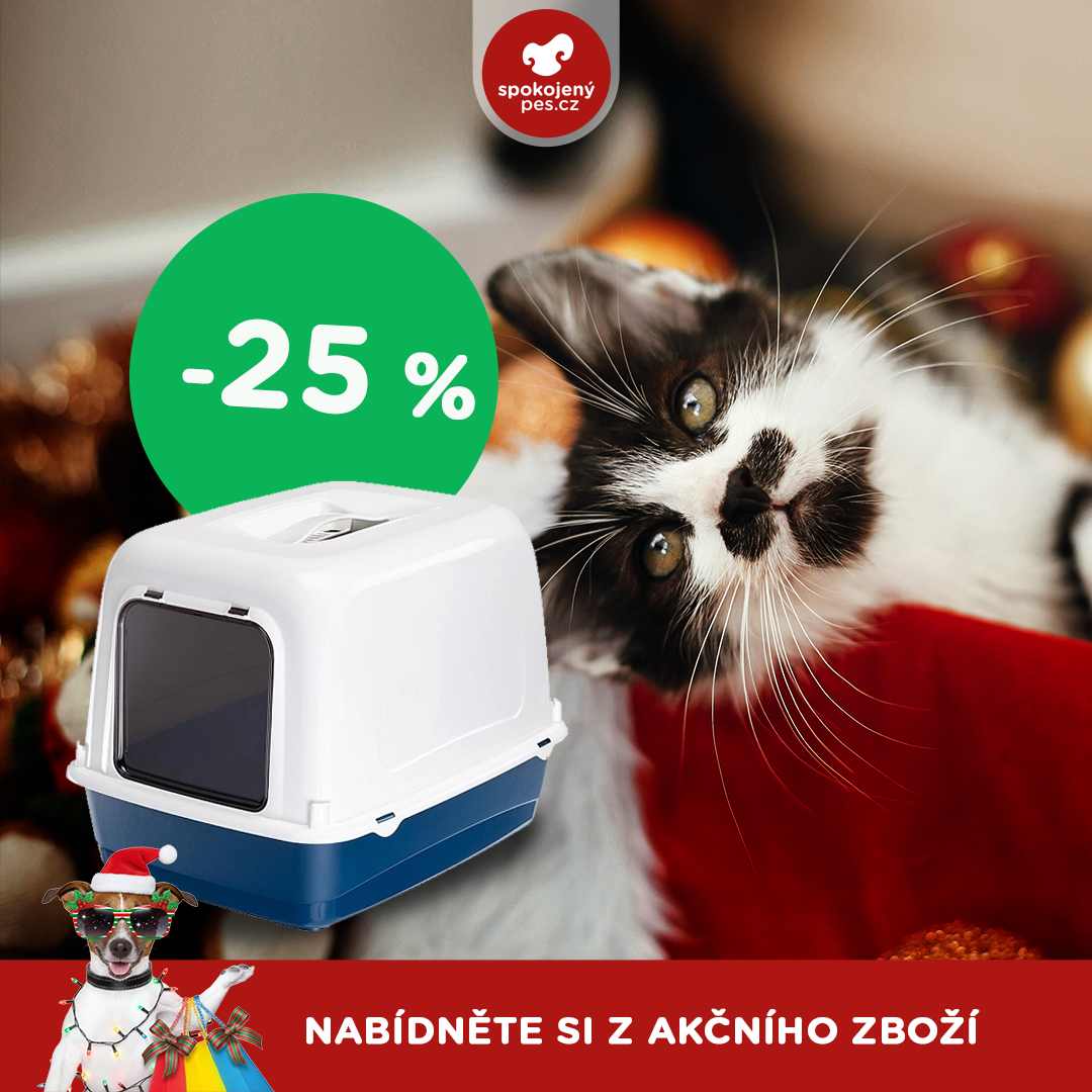 akční prosinec_kočka6.png